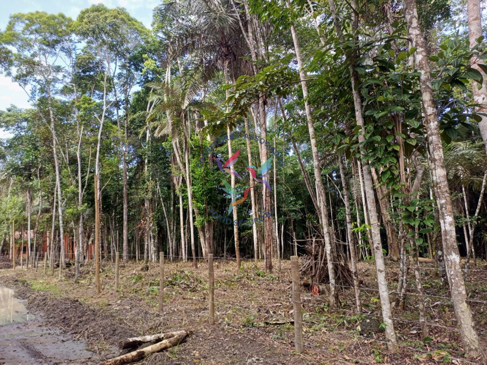 Terreno/Lote  venda  no Trancoso - Porto Seguro, BA. Imveis